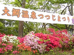 大鰐の茶臼山公 つつじまつり 遅咲きが見ごろョ 青森 オンライン最新情報