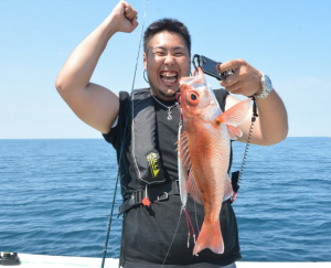 2f93b8fcf3e87e6c7b67f7e81b847d